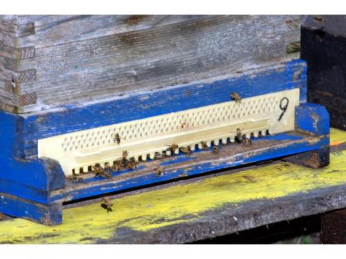 MiniKids 20170816 MM DSC 9953