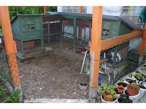 MiniKids 20170816 MM DSC 9955