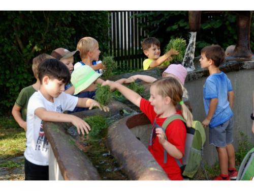 MiniKids 20170816 MM DSC 9990